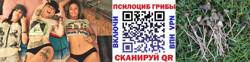 kraken онион  Муром  Галлюциногенные грибы GOLDEN TEACHER  закладка 
